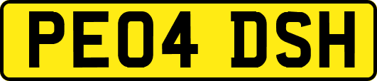 PE04DSH