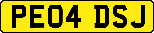 PE04DSJ