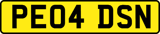 PE04DSN