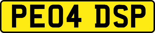 PE04DSP