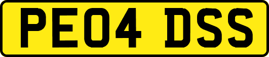 PE04DSS