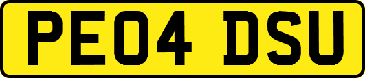 PE04DSU