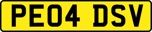PE04DSV