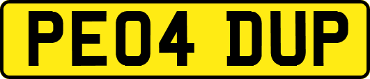 PE04DUP