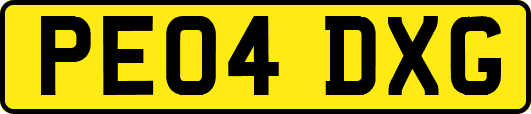PE04DXG