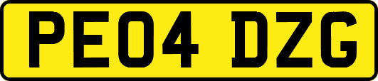 PE04DZG