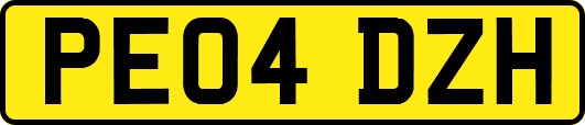 PE04DZH