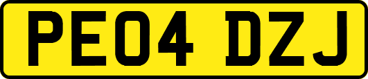 PE04DZJ