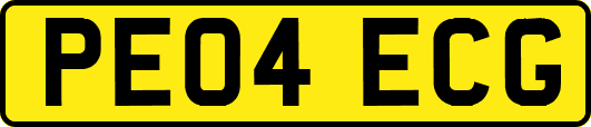 PE04ECG
