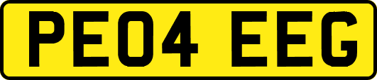 PE04EEG