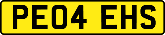PE04EHS