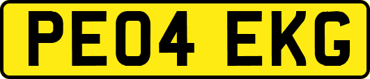 PE04EKG
