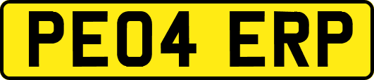PE04ERP