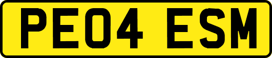 PE04ESM