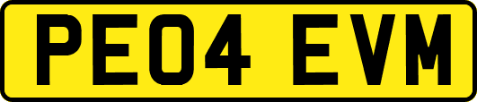 PE04EVM