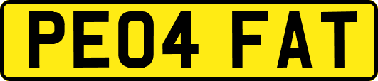 PE04FAT