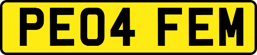 PE04FEM