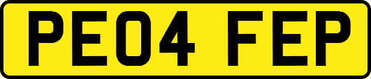 PE04FEP