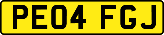 PE04FGJ