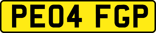 PE04FGP