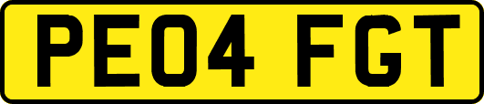 PE04FGT