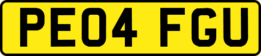PE04FGU