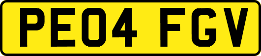 PE04FGV