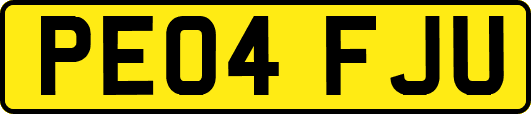 PE04FJU