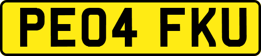 PE04FKU