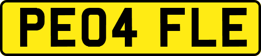 PE04FLE