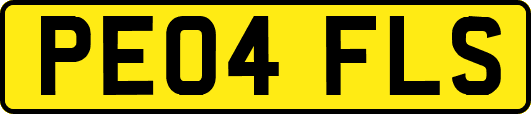 PE04FLS