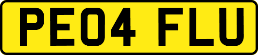 PE04FLU