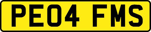 PE04FMS
