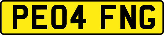 PE04FNG