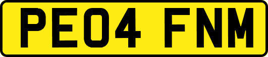 PE04FNM