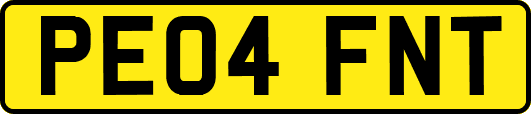 PE04FNT