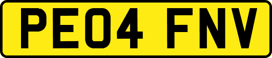 PE04FNV