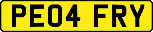 PE04FRY