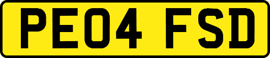 PE04FSD