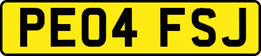 PE04FSJ