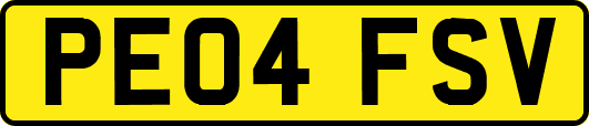 PE04FSV
