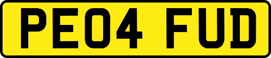 PE04FUD