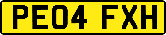 PE04FXH