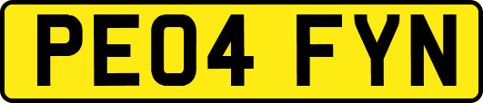 PE04FYN