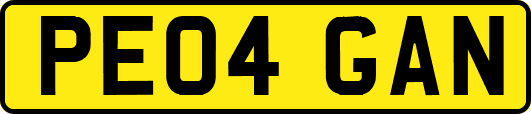 PE04GAN