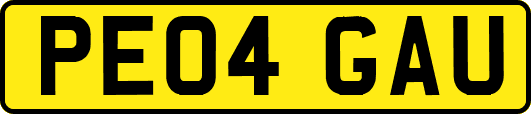 PE04GAU