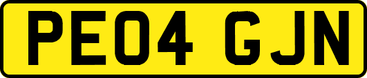 PE04GJN