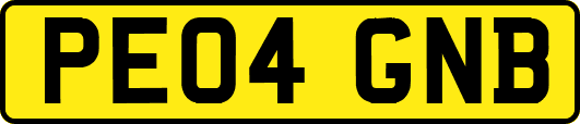 PE04GNB