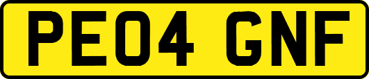PE04GNF