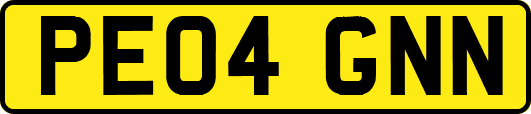 PE04GNN